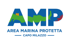 https://milazzocoasttocoast.it/wp-content/uploads/2026/05/AMP-LOGO-SMALL.png